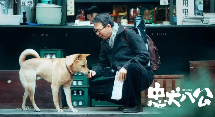 在国外如何收看国内电视图解